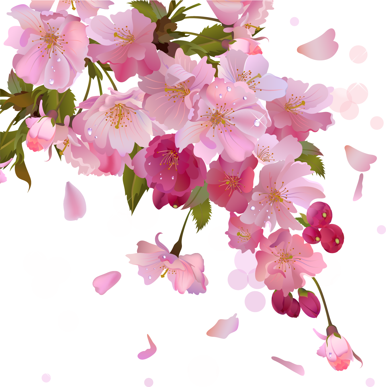 Блог Колибри: PNG клипарт "SPRING FLORAL"